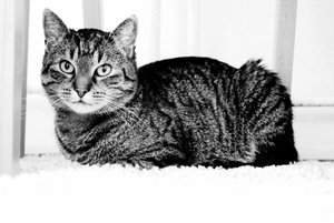 IMG_3537 (640x427).jpg