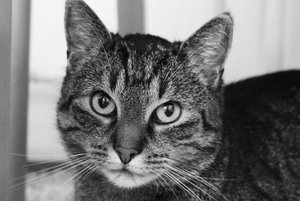 IMG_3547 (640x427).jpg