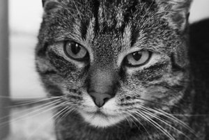 IMG_3549 (640x427).jpg