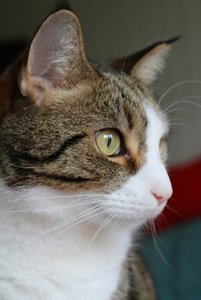 IMG_3569 (427x640).jpg