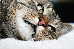 IMG_3615 (640x427).jpg