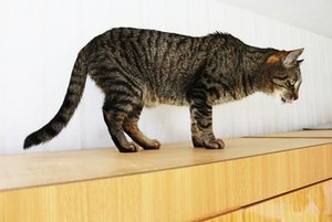 IMG_3641 (640x427).jpg