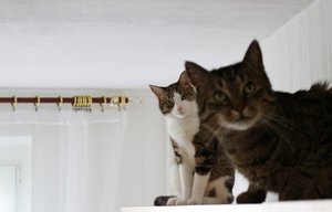 IMG_3654 (640x409).jpg