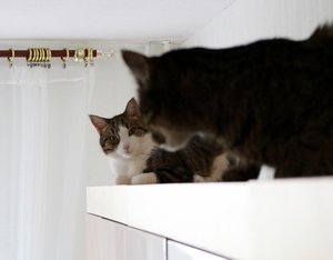 IMG_3656 (640x499).jpg