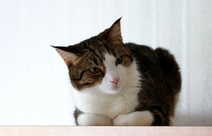 IMG_3661 (640x410).jpg