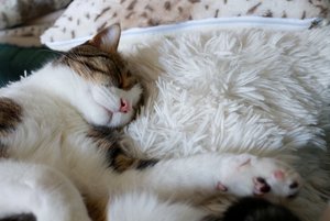 IMG_3783 (640x427).jpg