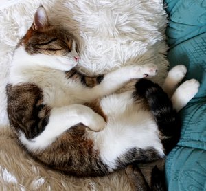 IMG_3788 (640x591).jpg