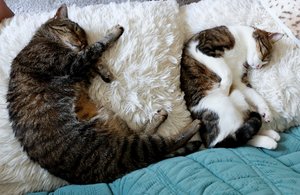 IMG_3790 (640x416).jpg