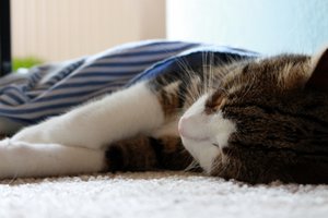 IMG_3802 (640x426).jpg