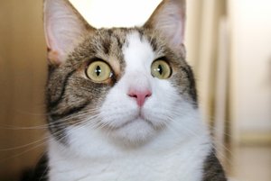 IMG_3819 (640x427).jpg