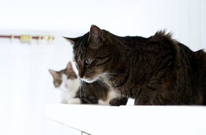 IMG_3657 (640x419).jpg