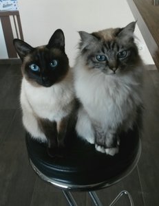 2015-03-18 06.02.24.jpg