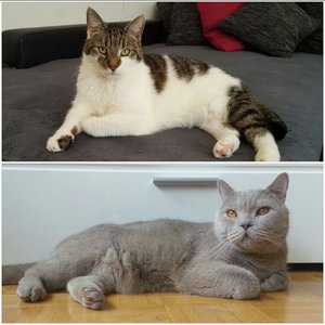 2015-07-13 14.57.29(1).jpg