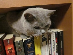 da bird mona liebt bücher 008.jpg