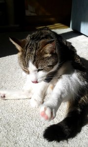 20150904_152844 (384x640).jpg