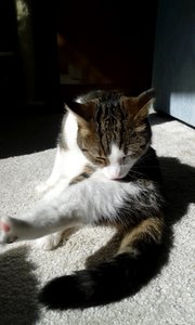 20150904_152849 (384x640).jpg