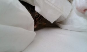 20150830_102605 (640x384).jpg