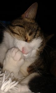 20150829_224701 (384x640).jpg