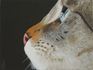 Gizzi Werdegang 19 fertig -  bea Inet.JPG