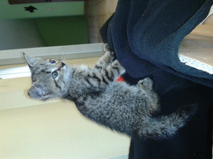 2015-09-02 15.52.21.jpg