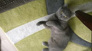 WP_20150530_009 (1).jpg