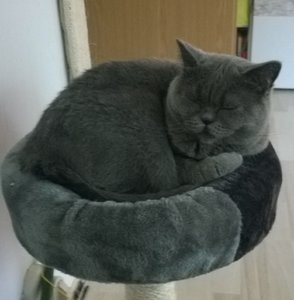 WP_20150918_002 1.jpg