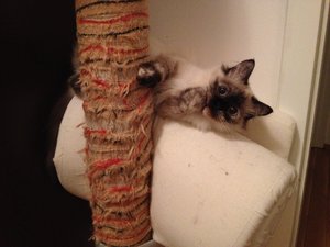 2015-09-15 20.46.56.jpg