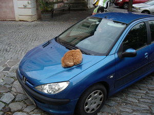 2002-01-03 05.41.07.jpg