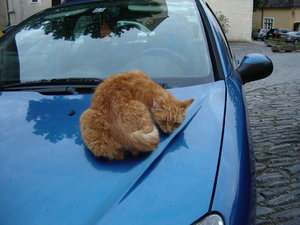 2002-01-03 05.41.29.jpg