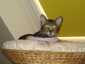 Donnerstag abend bei uns daheim 010.jpg