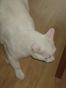 unterschiedliche Sachen 020.jpg