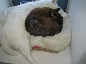 kuschel - baustelle und ratten 006.jpg