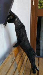 2015-10-24 18.37.11.jpg