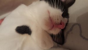 uploadfromtaptalk1446053000242.jpg uploadfromtaptalk1446053000242.jpg