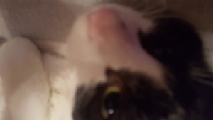 uploadfromtaptalk1446053040513.jpg uploadfromtaptalk1446053040513.jpg