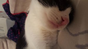 uploadfromtaptalk1446053861230.jpg uploadfromtaptalk1446053861230.jpg