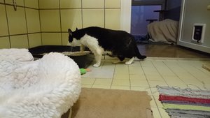 uploadfromtaptalk1446157561206.JPG uploadfromtaptalk1446157561206.JPG