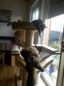 20151024_084446_resized.jpg 20151024_084446_resized.jpg