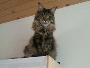 20151016_140634_resized.jpg 20151016_140634_resized.jpg