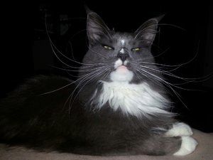 20151113_181035_resized.jpg 20151113_181035_resized.jpg