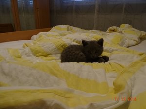 2014-12-17 10.04.24.jpg