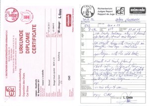 arabella diplom1jpegrot.jpg