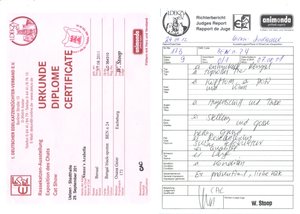 arabella diplom2rot.jpg