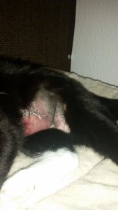 20151007_095659.jpg 20151007_095659.jpg