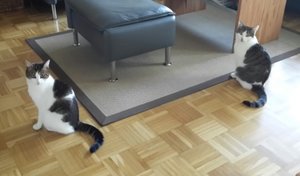 2015-12-10 16.40.59.jpg