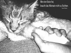 A_Loui (448x336).jpg