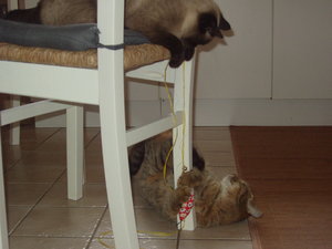 du oben ich unten.jpg