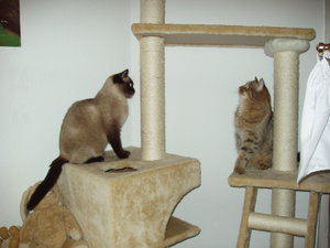 Kampf oder Spiel 007.jpg