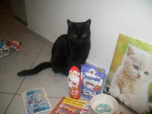 Wichtelpaket 049.jpg