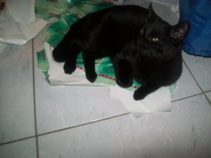 Wichtelpaket 068.jpg